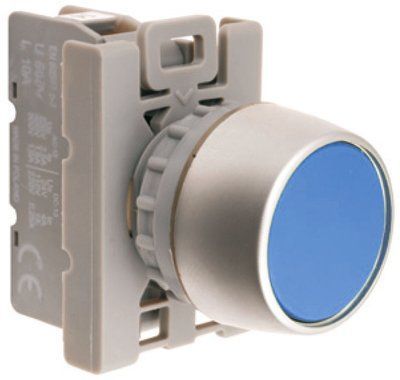 Кнопка врізна 22мм Голуба 2NO 1NC кільце захисне Spamel SP22-KN-21/. SP22-KN-21 фото